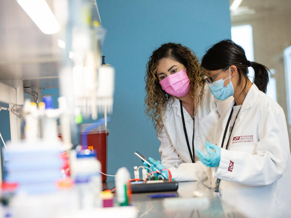 bingo plus rewards points free codes