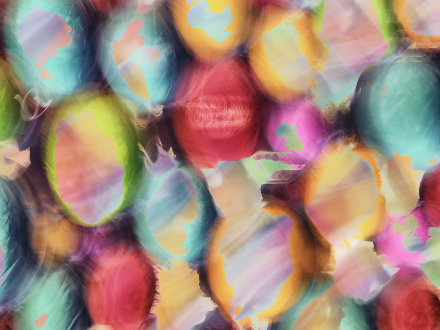 bingo plus net rewards login